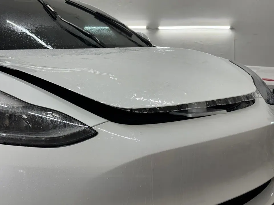 Paint protection film near Pinellas Park, FL
