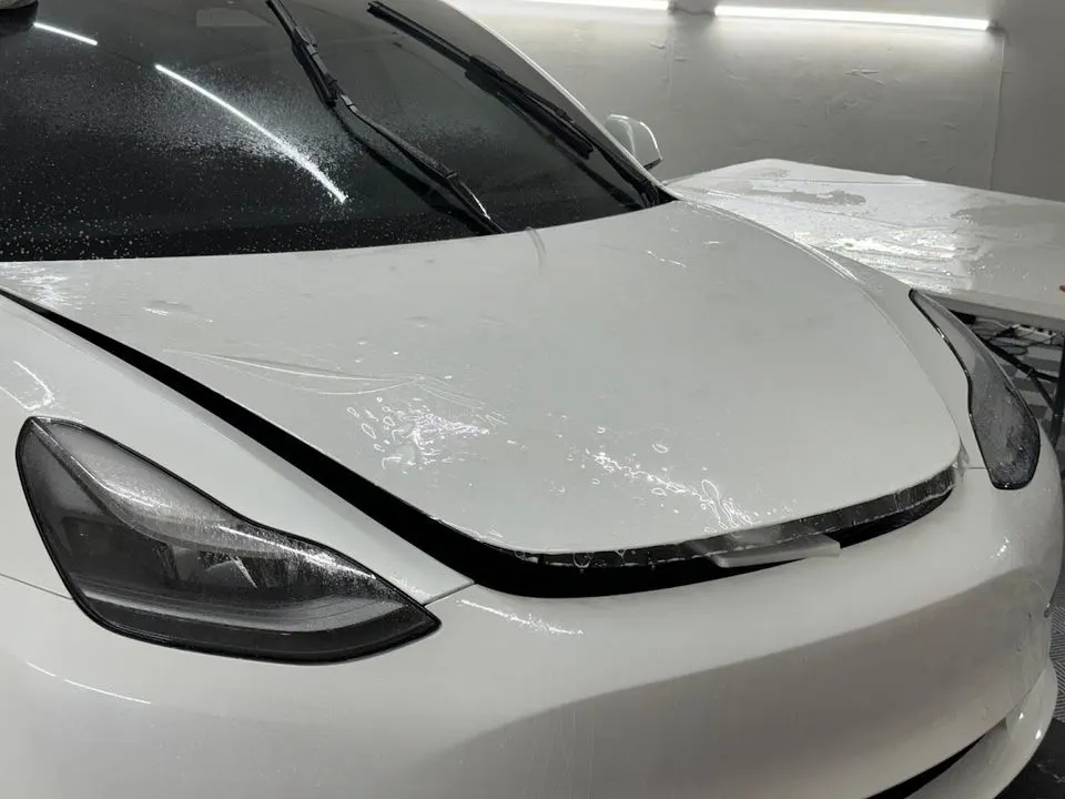 DYNOshield paint protection film in St. Petersburg, FL